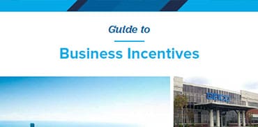 Incentives Guide