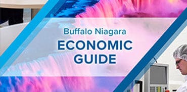 Economic Guide 2020